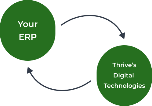 ERP-graphic